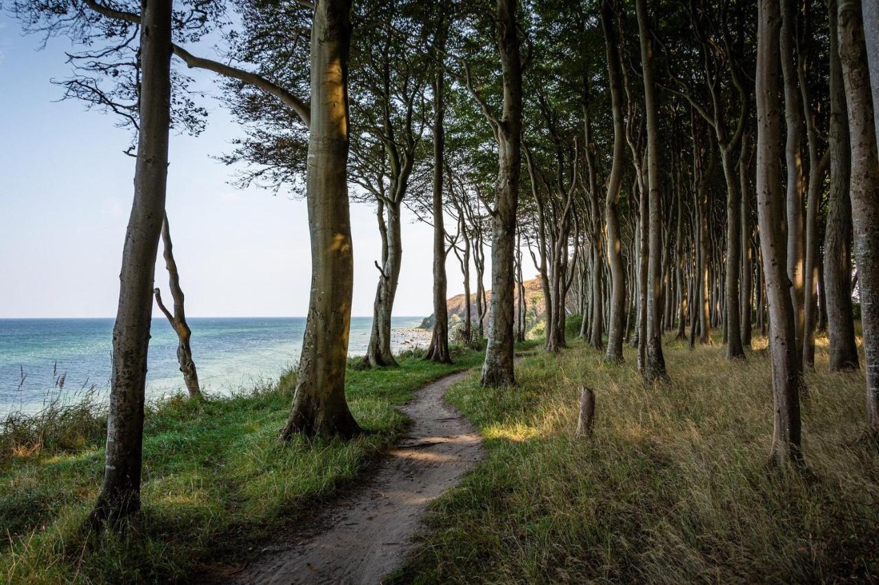 Ferienhaeuschen Kuestenwald Bei Warnemuende, Eigener Garten, Terrasse Mit Strandkorb, 400M Zum Strand Diedrichshagen  Zewnętrze zdjęcie